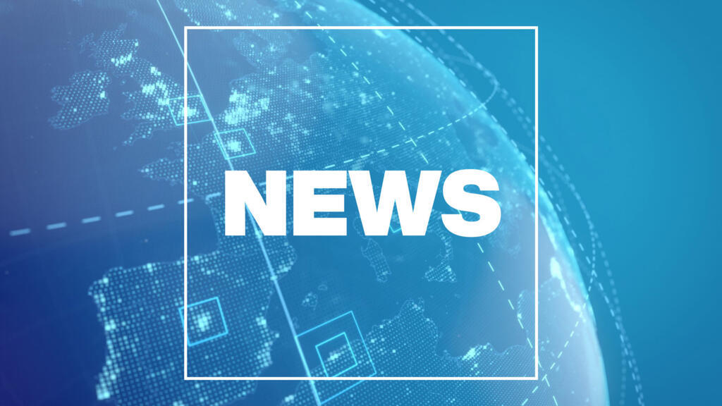 Fundación Tortuga cuida la vida marina con entrega y respeto