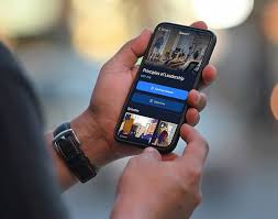 Fundación Tortuga cuida la vida marina con entrega y respeto