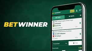 Comprehensive Review of the BetWinner Mobile App -606508921
